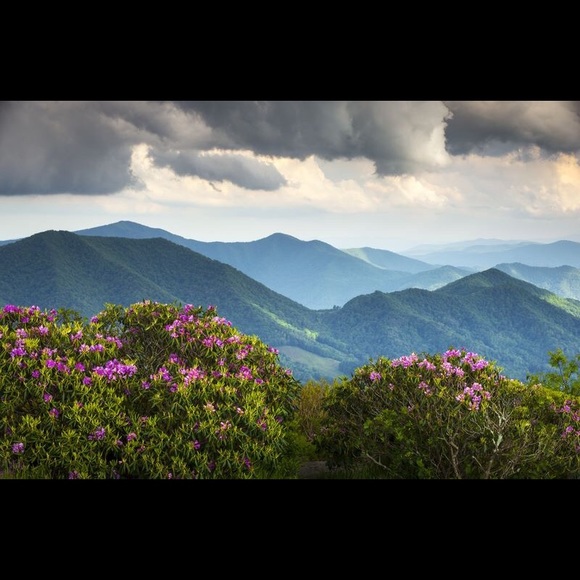 Meet The Posher! - Picture 2 of 3